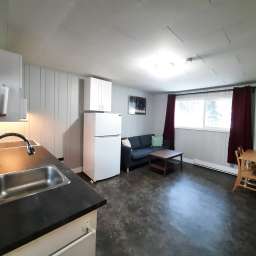 New furnishings and fridge